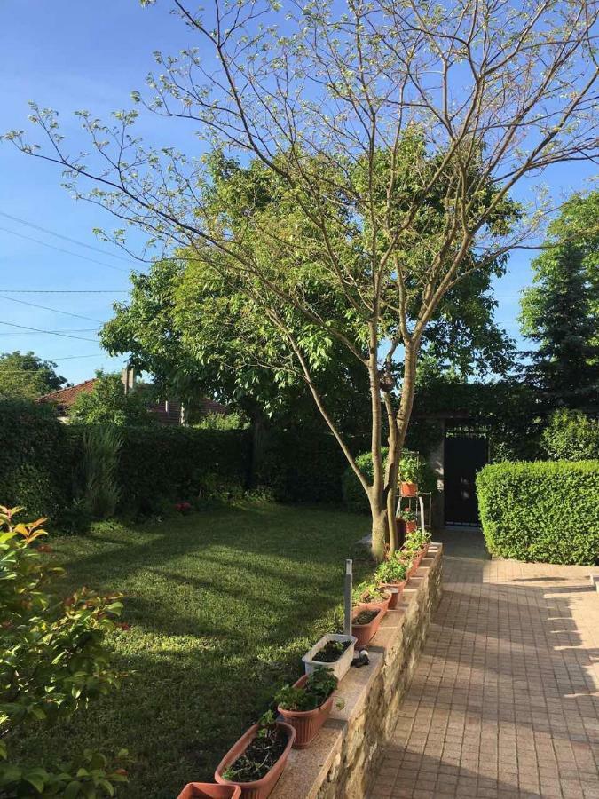 Byala Residence Apartments ภายนอก รูปภาพ